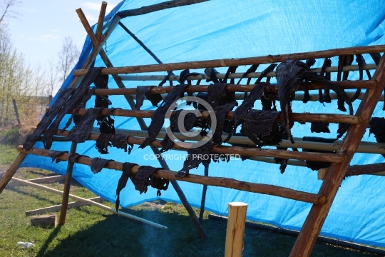Dried moose meat