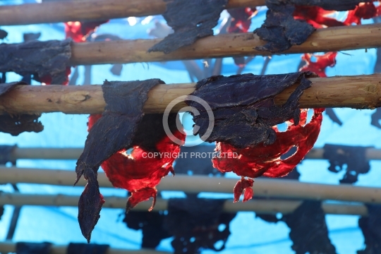 Dried moose meat